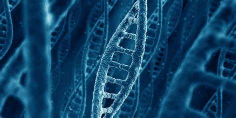 igcse生物怎么提高?这些学习中的重难点你要了解!